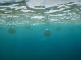 mine marine defendar