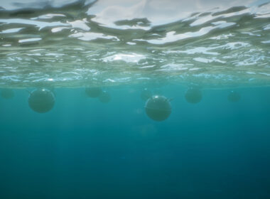 mine marine defendar