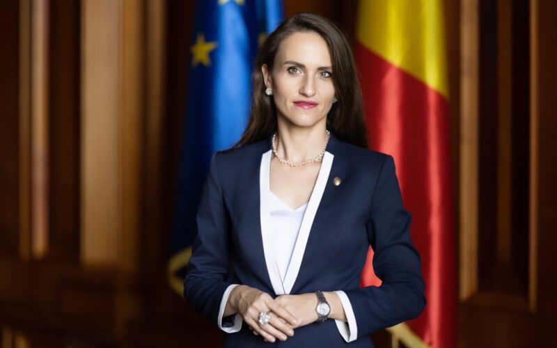 oana toiu ministru mae defendar